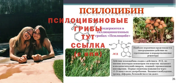 соль курить ск Горнозаводск