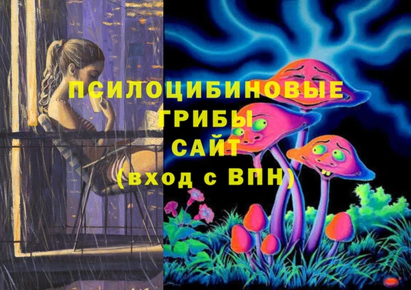 амф Горно-Алтайск